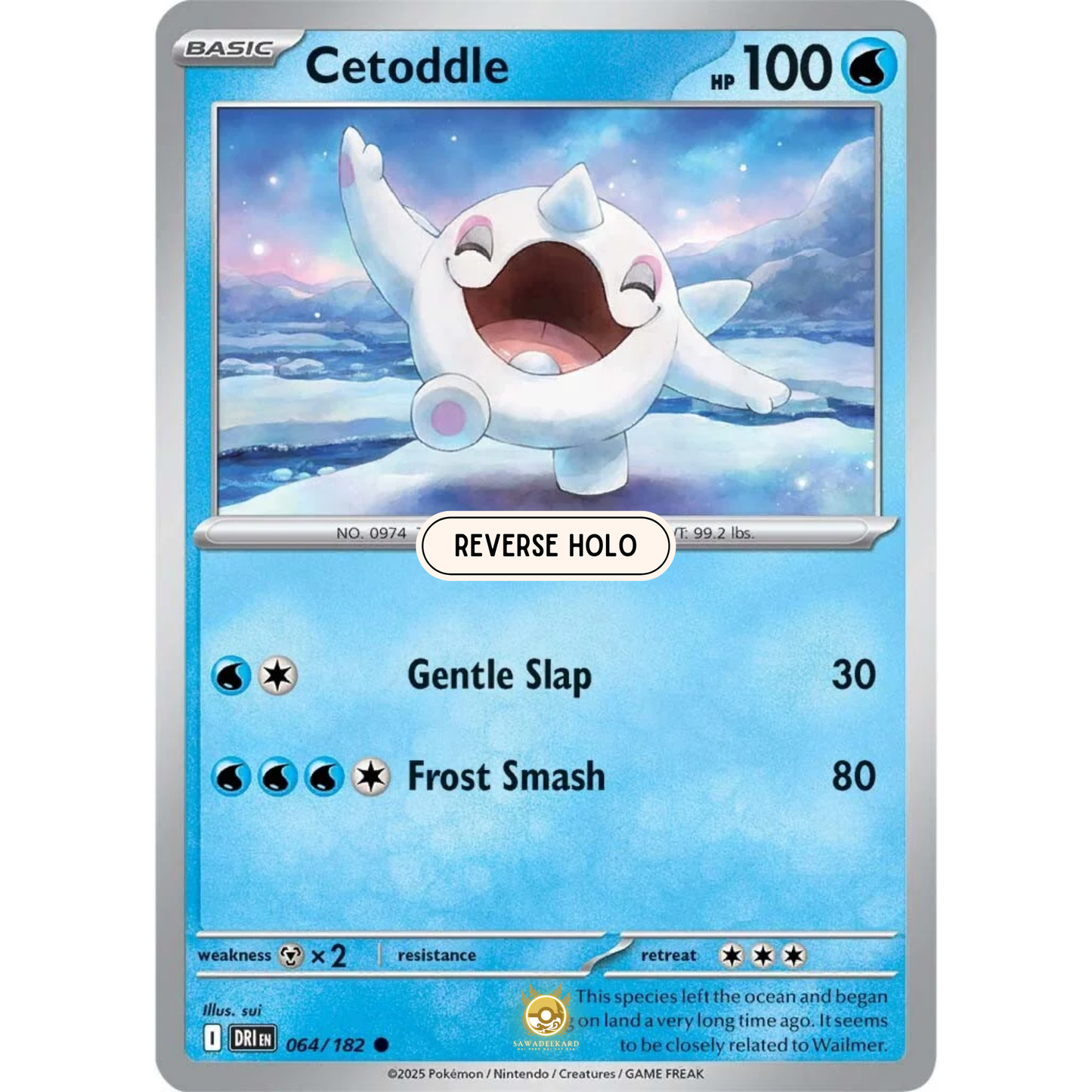 [ENG] Pokemon SV10 Destined Rivals: 064/182 Cetoddle [Water] [C - Common] (Reverse Holo)