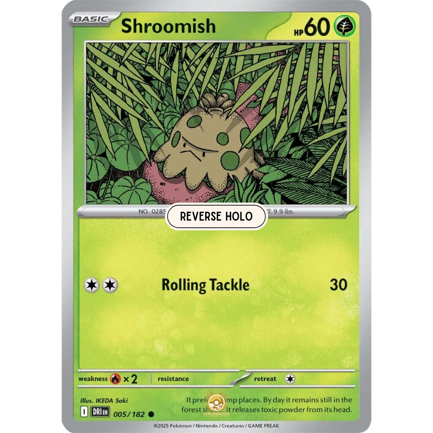[ENG] Pokemon SV10 Destined Rivals: 005/182 Shroomish [Grass] [C - Common] (Reverse Holo)