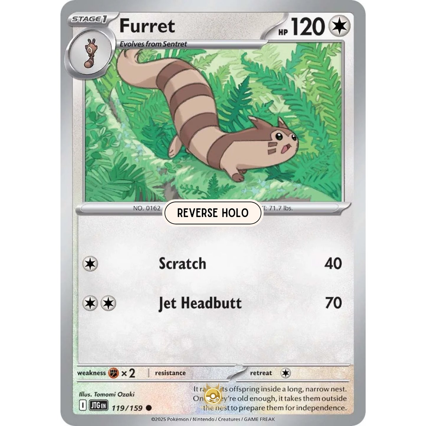 [ENG] Pokemon SV09 Journey Together: 119/159 Furret [Colorless] [C - Common] (Reverse Holo)