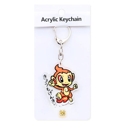 Acrylic Keychains (Pokemon / One Piece)