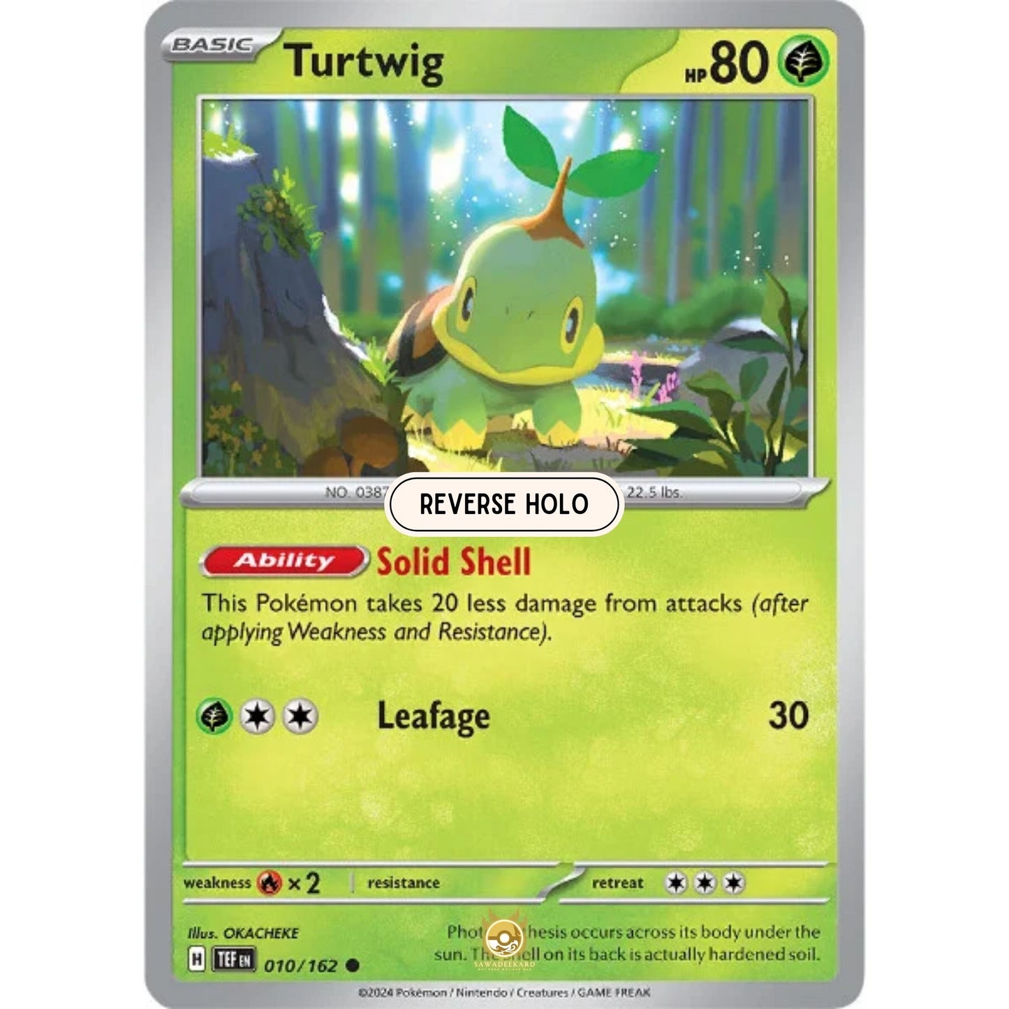 [ENG]	SV05	Temporal Forces:	010/162	Turtwig	[Grass]	[C - Common]	(Reverse Holo)