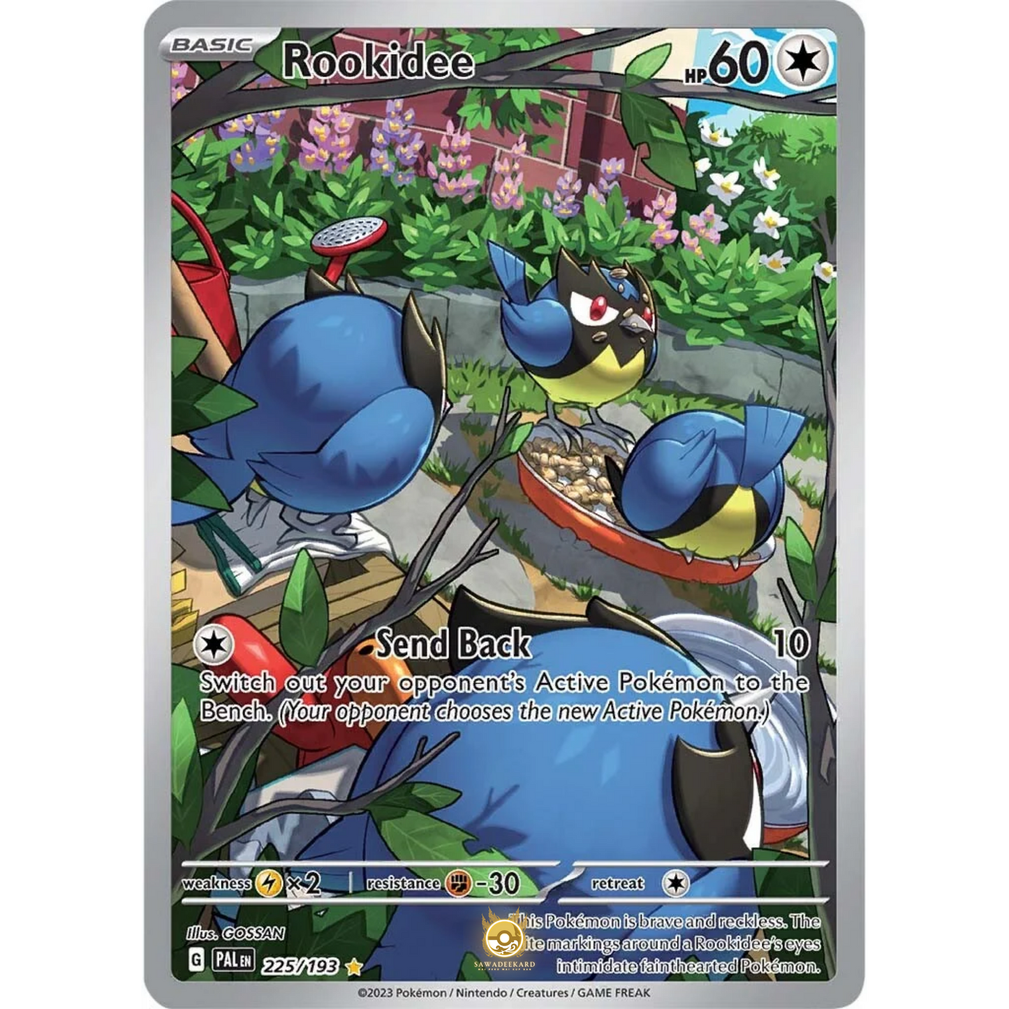 [ENG] SV02 Paldea Evolved: 225/193 Rookidee IR (Foil)