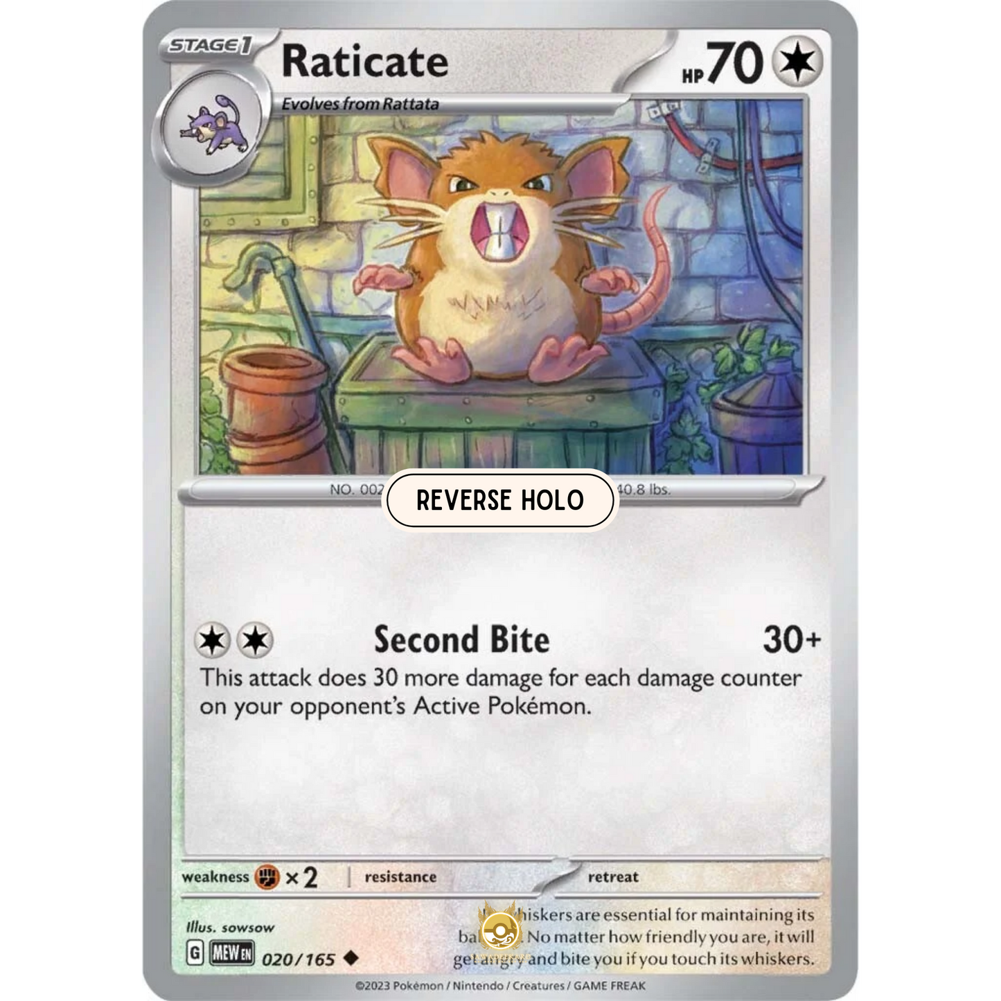 [ENG]	SV3.5	151:	020/165	Raticate	U	(Reverse Holo)