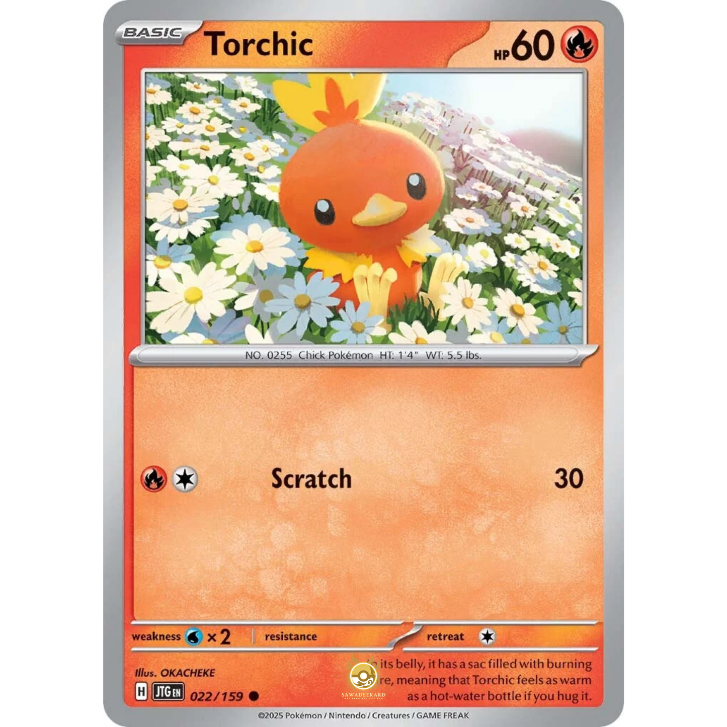 [ENG] Pokemon SV09 Journey Together: 022/159 Torchic [Fire] [C - Common] (Non-foil)