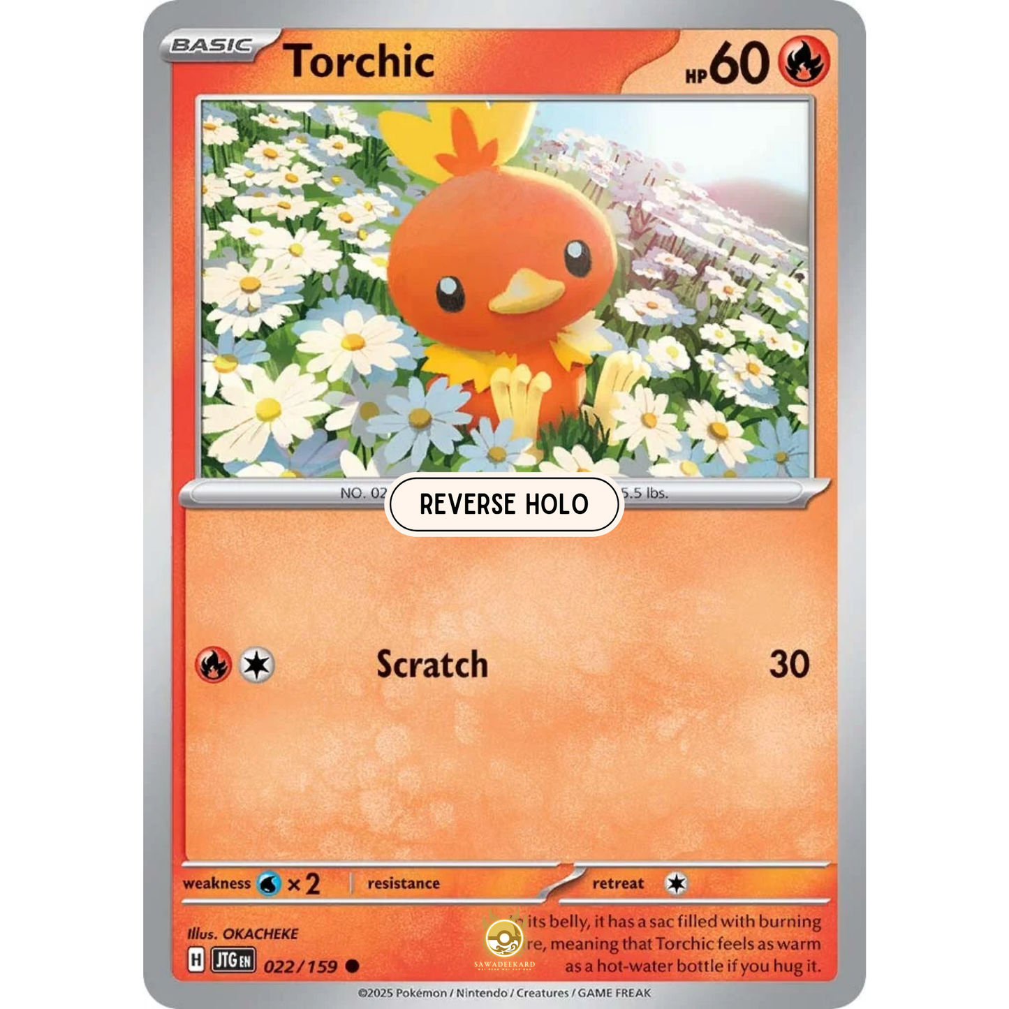[ENG] Pokemon SV09 Journey Together: 022/159 Torchic [Fire] [C - Common] (Reverse Holo)