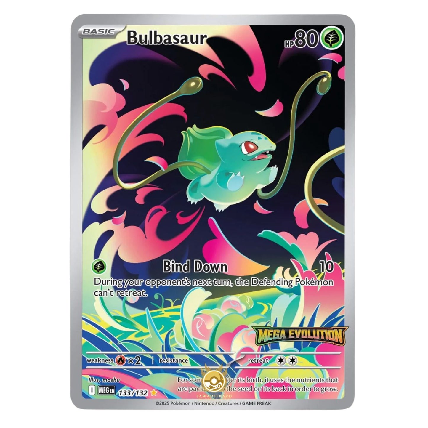 [LIVE] Pokemon Sleeves / Packs