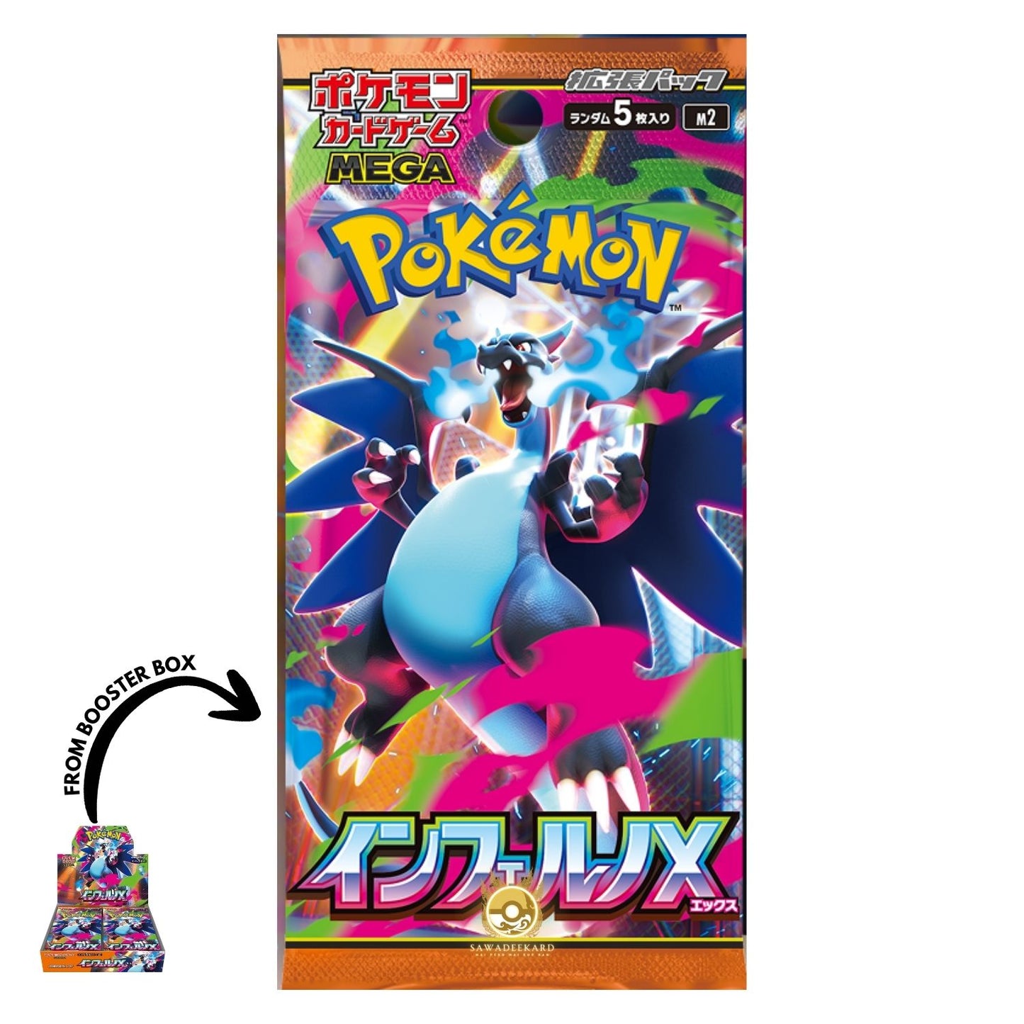 [LIVE] Pokemon Sleeves / Packs