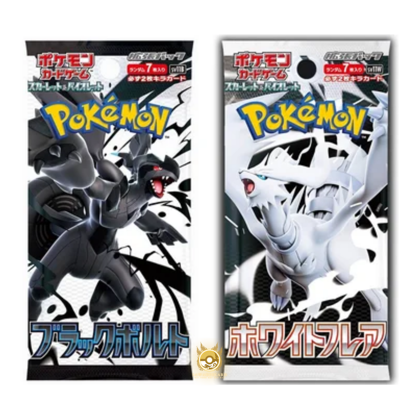 [LIVE] Pokemon Sleeves / Packs