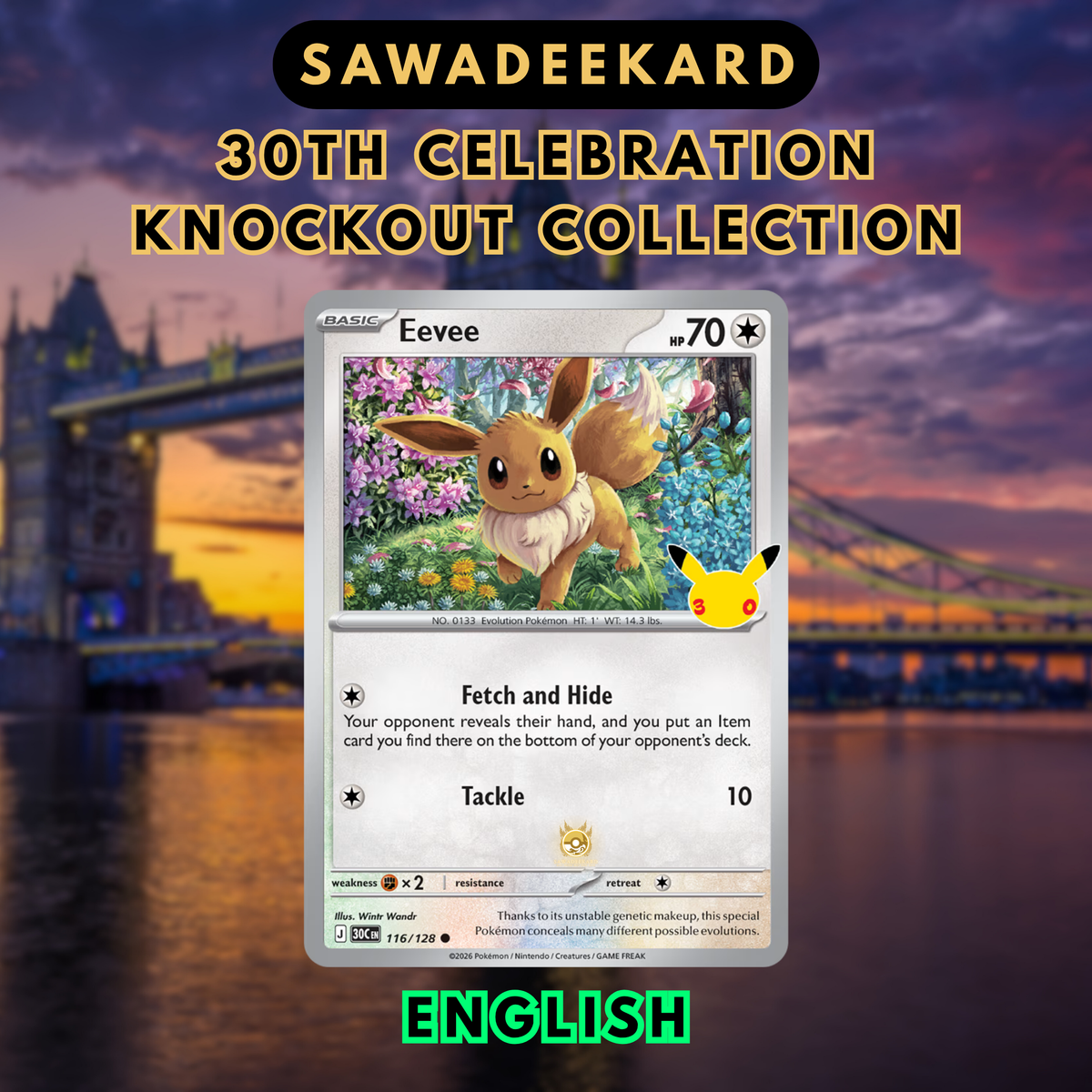 Eevee 116/128 Holofoil card from the Pokemon TCG 30th Celebration Knock Out Collection